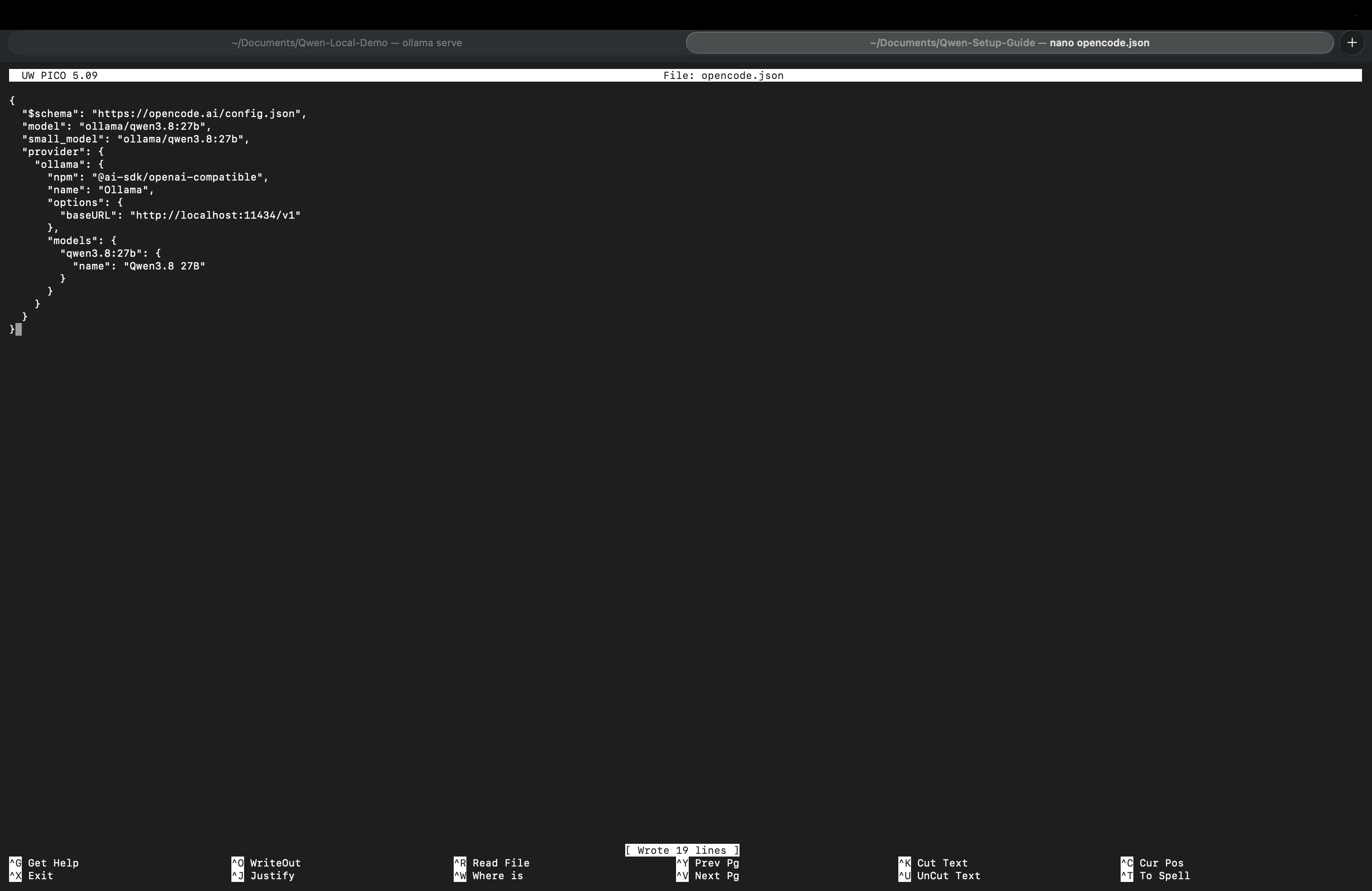 터미널 편집기에서 opencode.json 편집 및 저장
